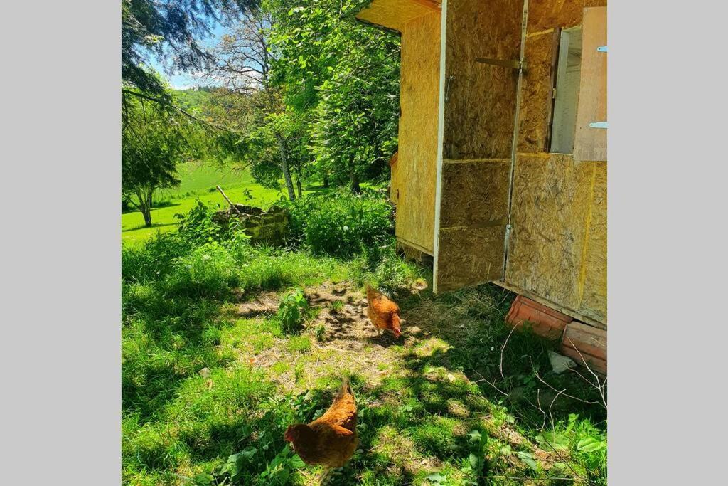 Gite Les Hauts De Villemaloux Dontreix Екстер'єр фото